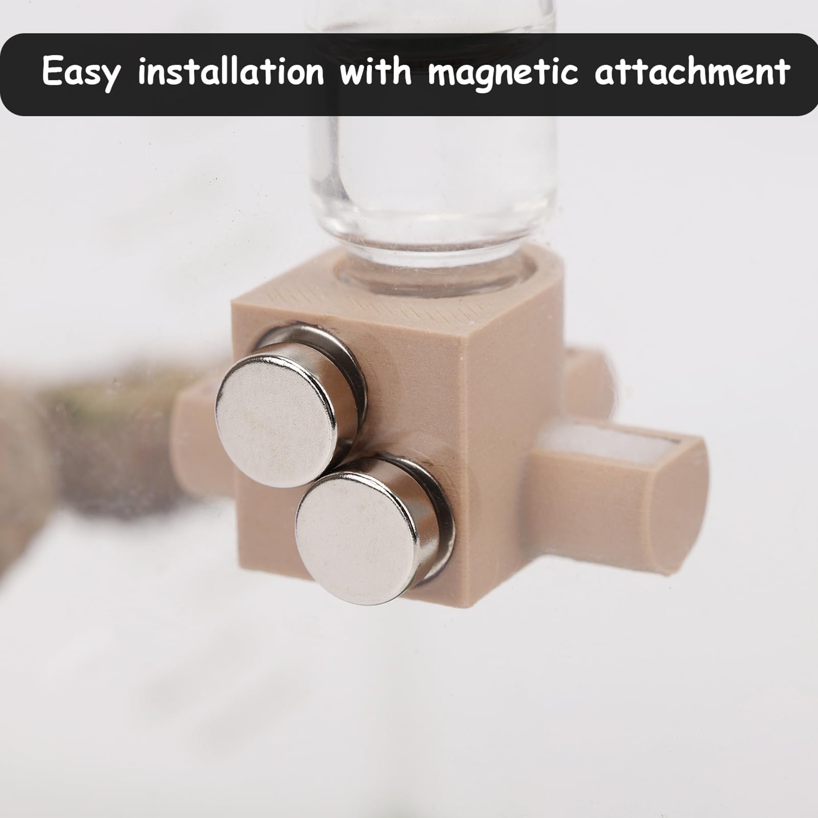 Daerky Dispenser with multiple pet openings enables simultaneous drinking.