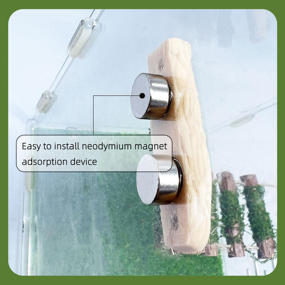 Daerky Jumping Spider enclosure-setup shows product integrated into small habitats.