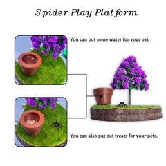 Daerky Jumping Spider Habitat with artificial turf top for natural resting and exploring.