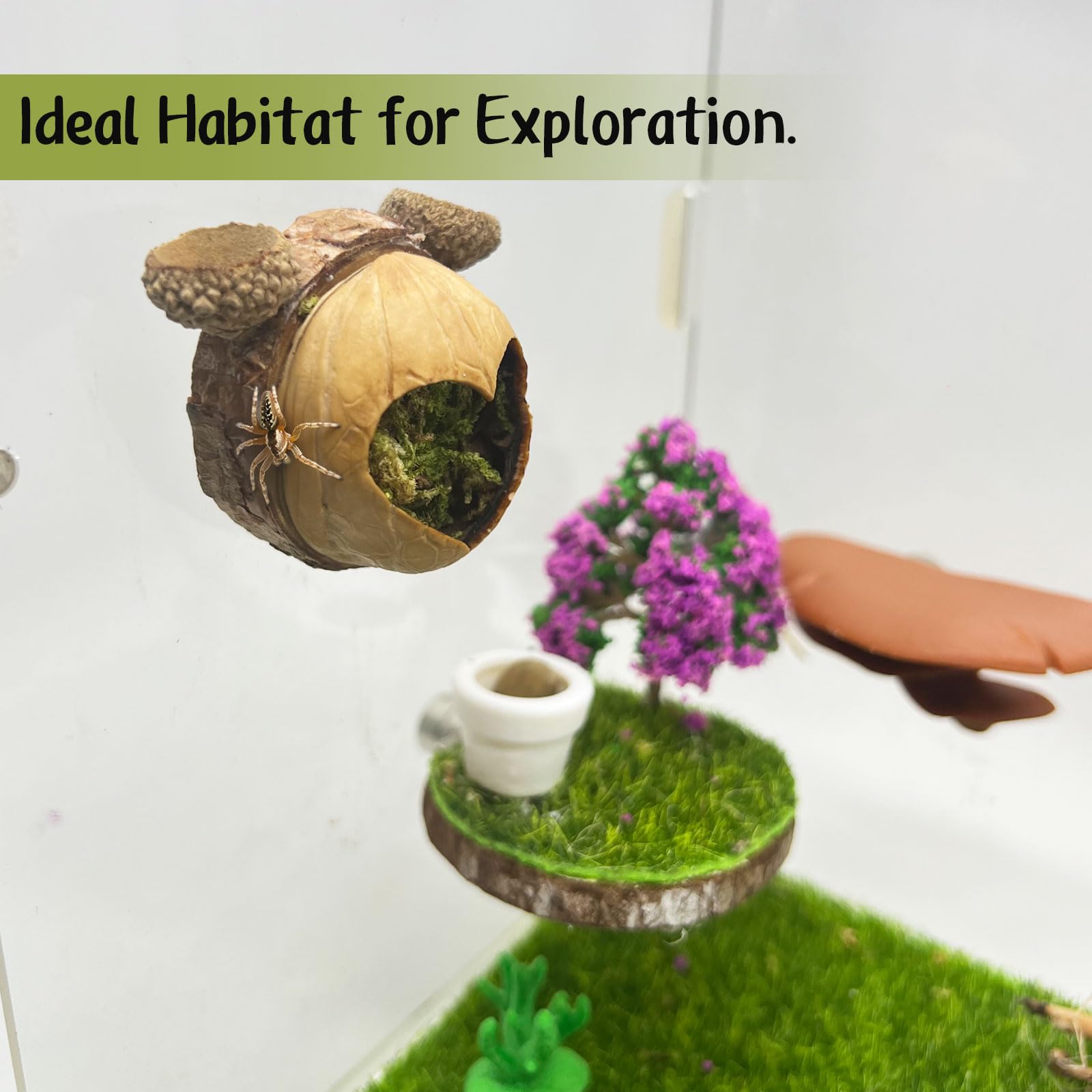 Daerky spider cave includes a top feeding platform for interactive enrichment.