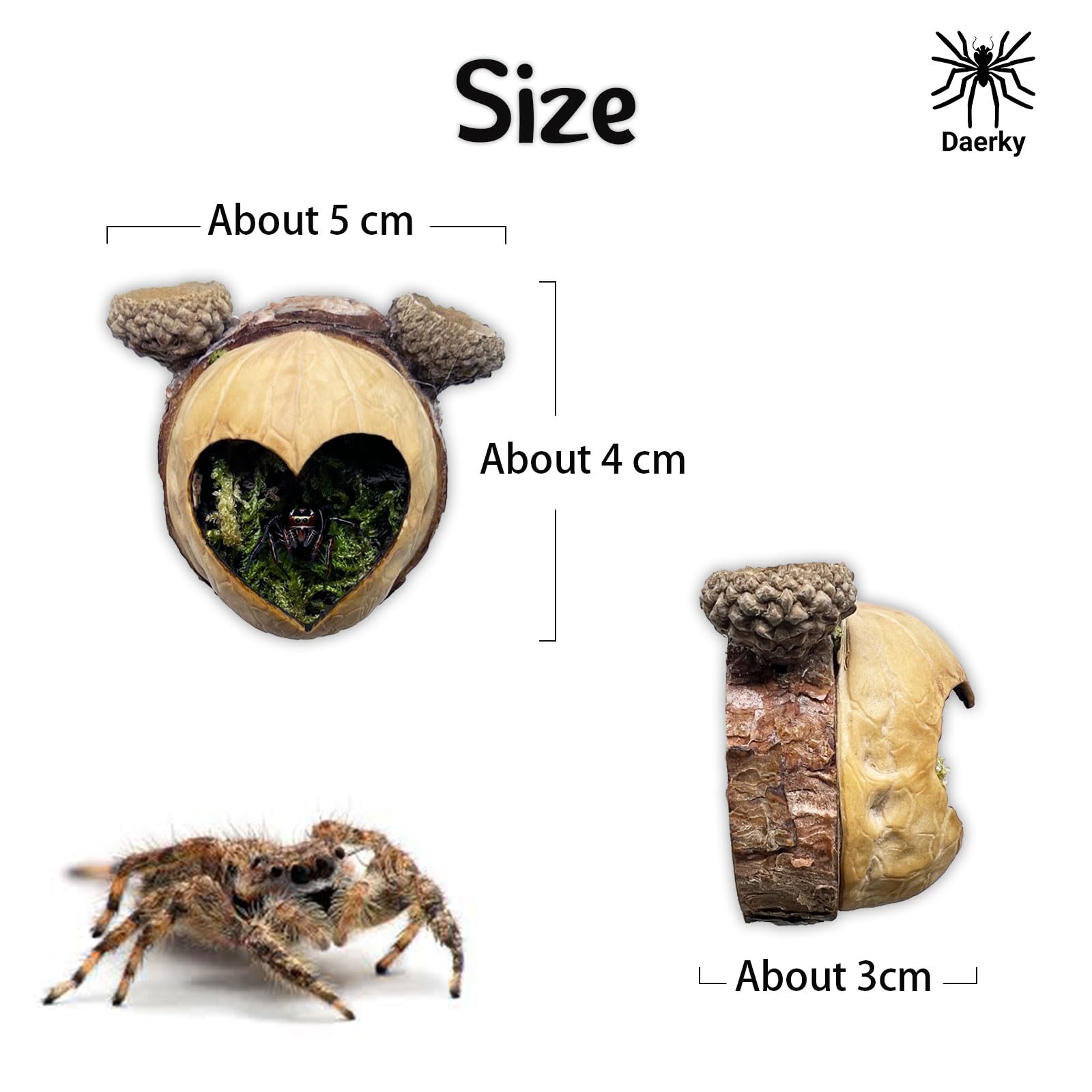 Daerky Jumping Spider Hideaway uses a neodymium magnet for secure placement.