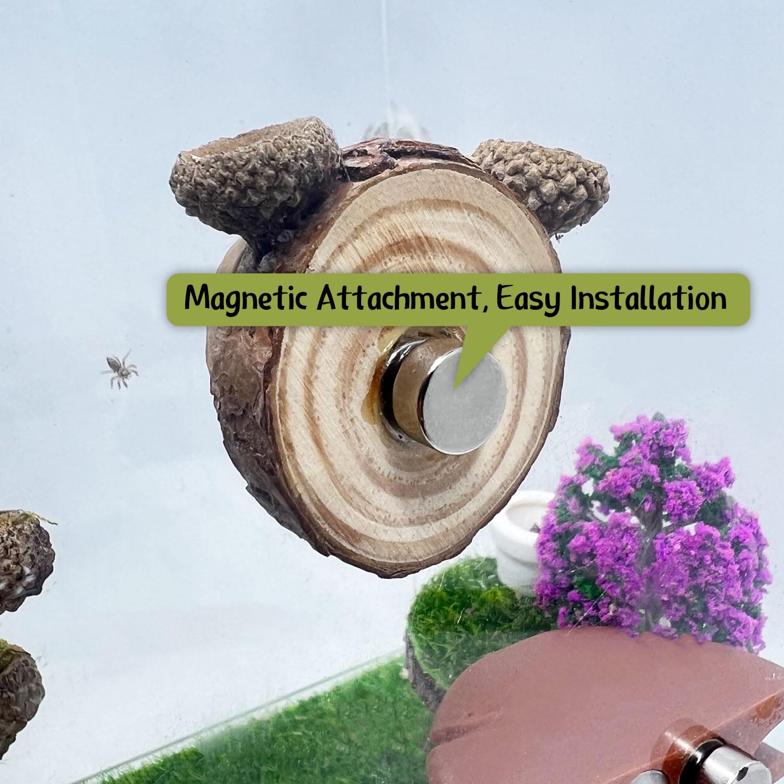 Daerky Walnut wood habitat provides breathable, durable shelter for small pets.