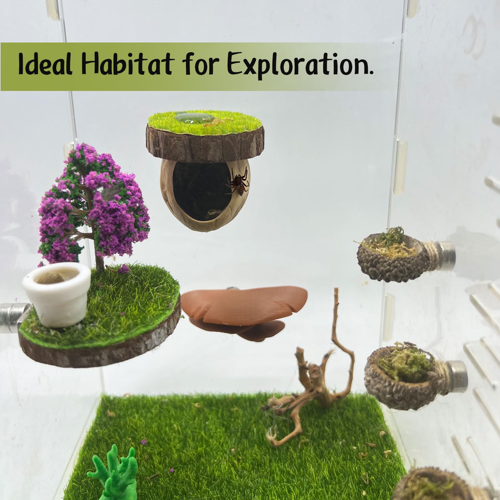 Daerky Jumping Spider Hideout supports climbing and resting with built-in platforms.