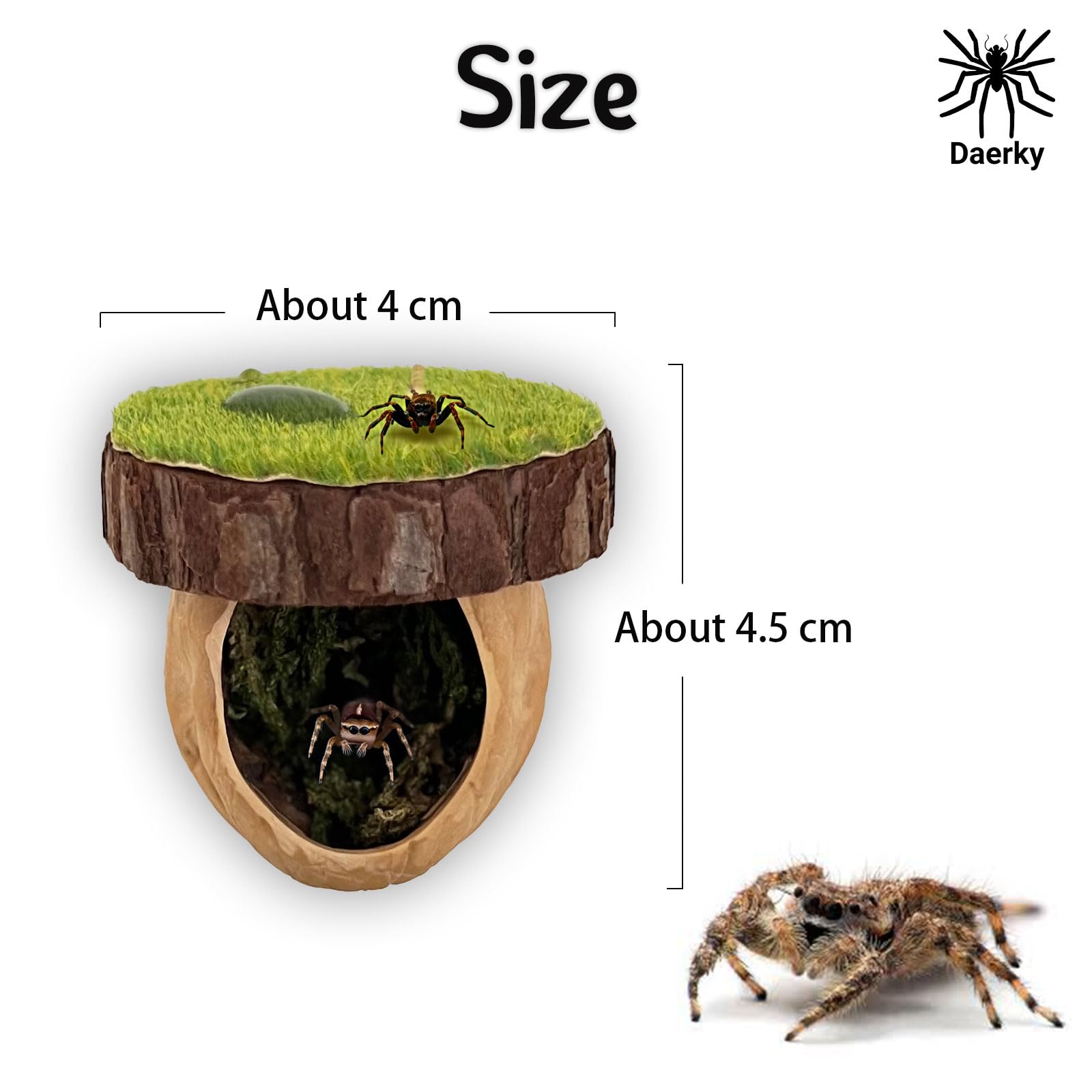 Daerky Jumping Spider Hideout easy installation with magnets to fix on enclosure tops.