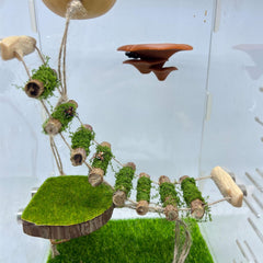 Daerky Jumping Spider Rope Bridge main view highlights handmade wood and enrichment routes.