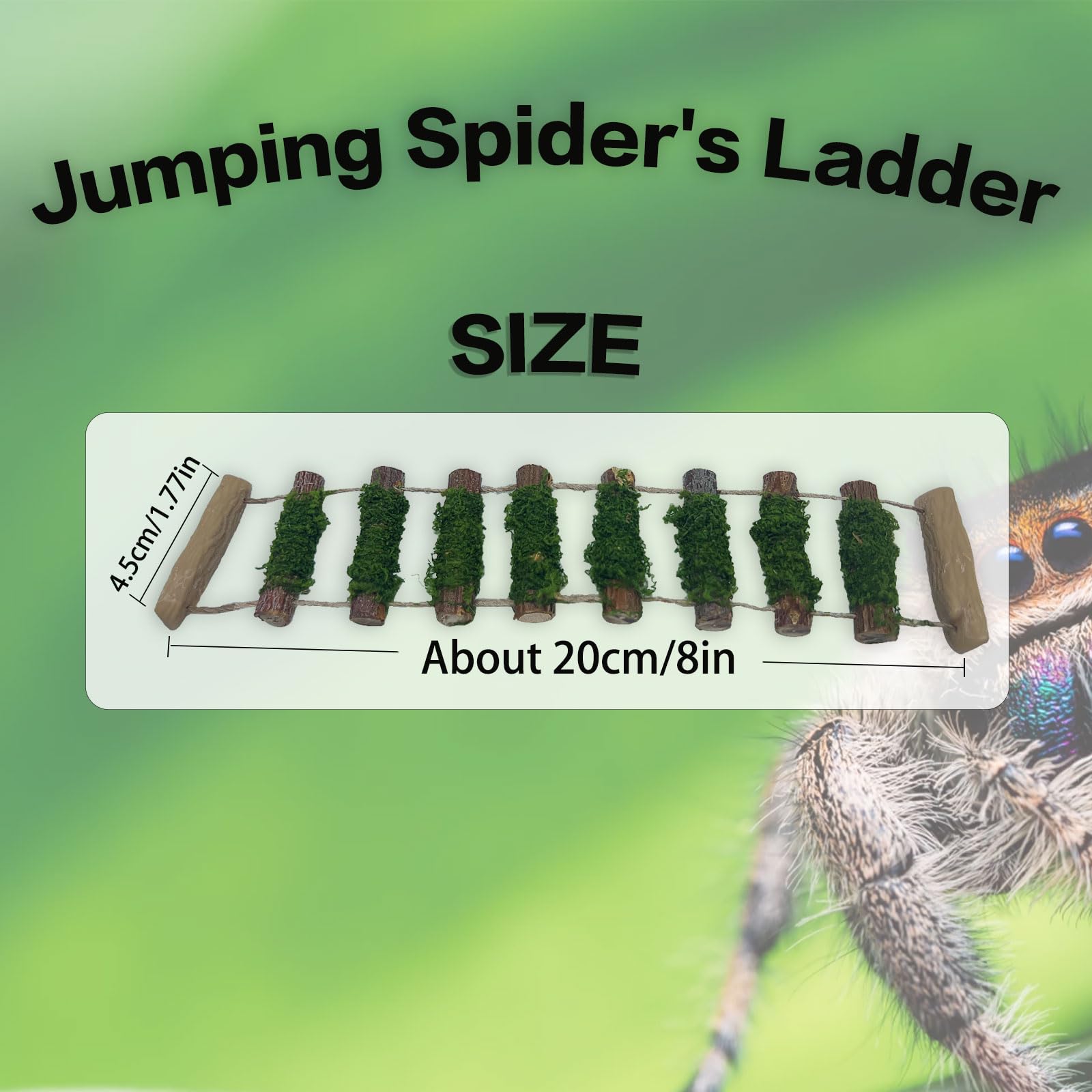 Daerky Jumping Spider Rope Bridge side view shows easy magnet installation in enclosures.