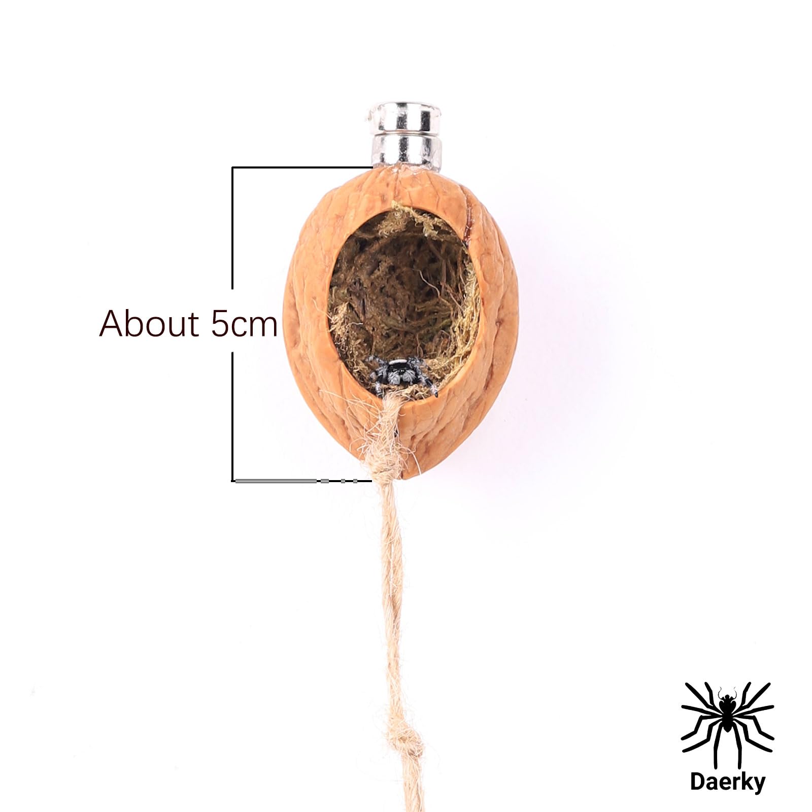 Daerky walnut skin spider shelter with heart opening for shelter and viewing.