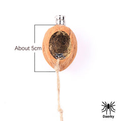 Daerky walnut skin spider shelter with heart opening for shelter and viewing.