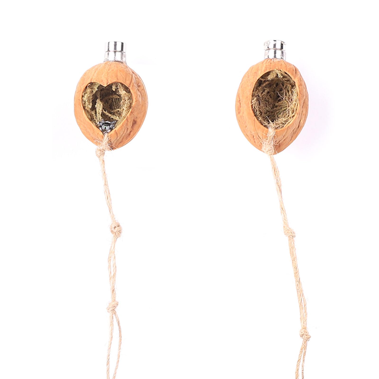 Daerky walnut spider habitat with 24-hour service and support.