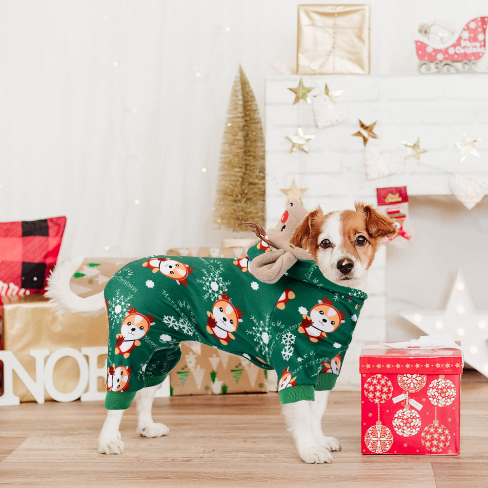 DaFuEn dog Christmas pajamas packaging conveys brand quality.
