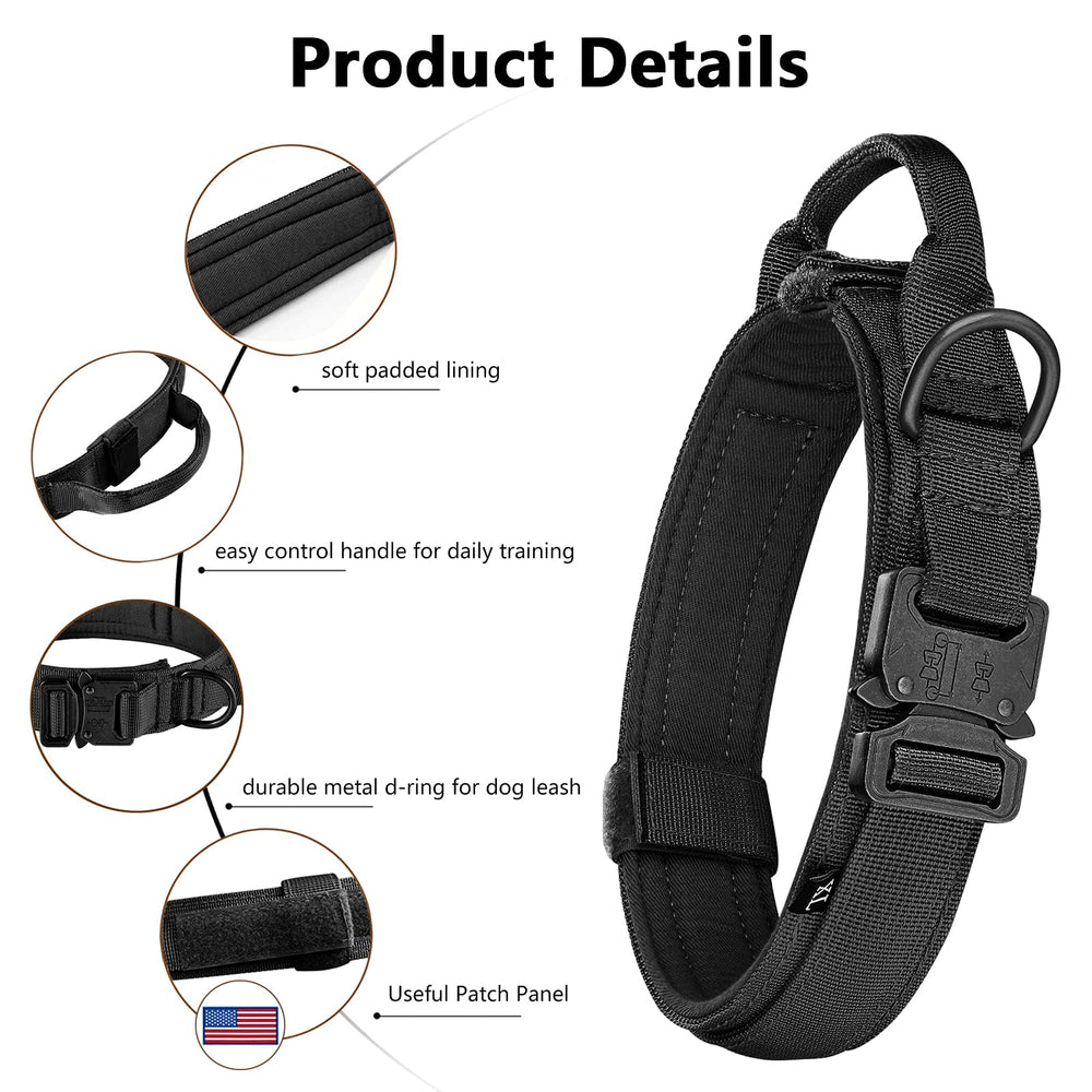 DAGANXI patches on collar with Velcro for personalization and ID tags