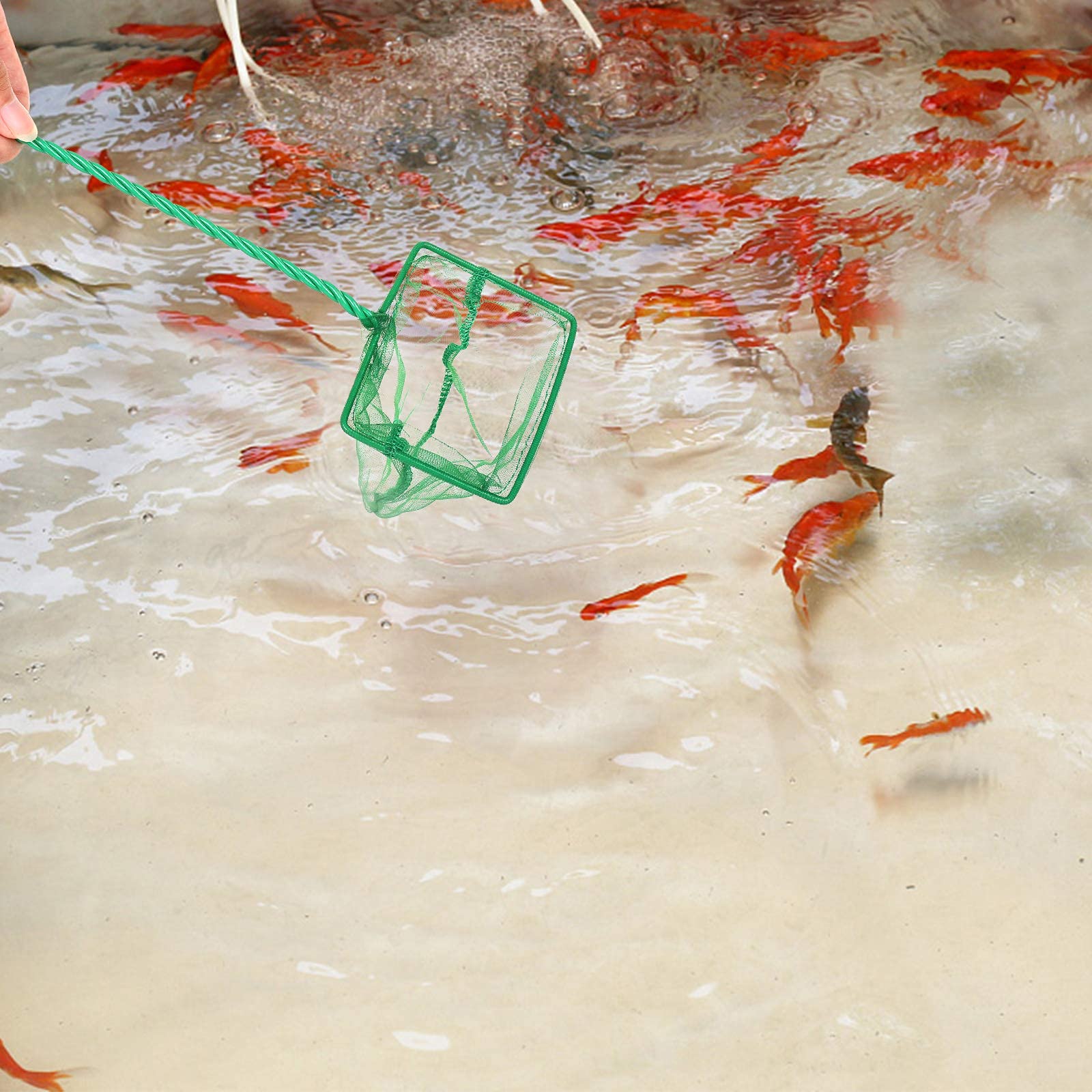 DAGUANZHI fish transfer use shows gentle, surface-level catching.