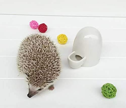Dahey 8oz waterer with compact dimensions fit for small cages