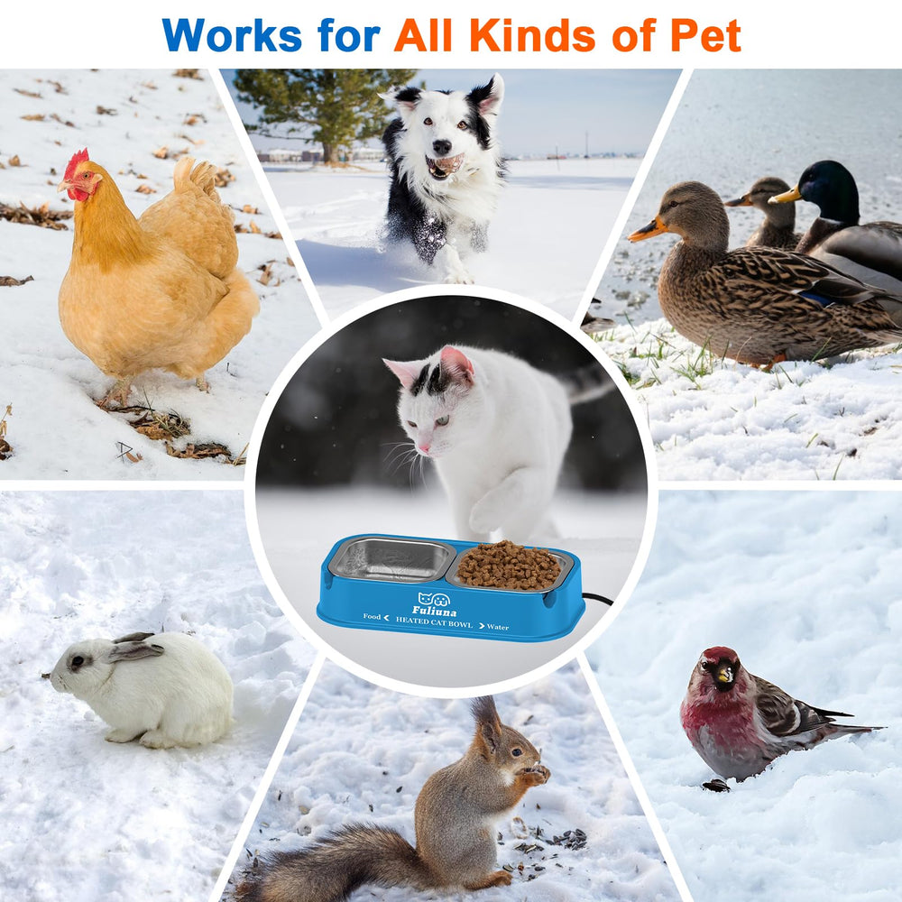 Dahivs heated cat bowl-easy-clean-dishwasher shows simple maintenance for busy households.