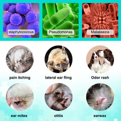 Daiasns pet ear-care moment showing soothing relief for itchy ears.