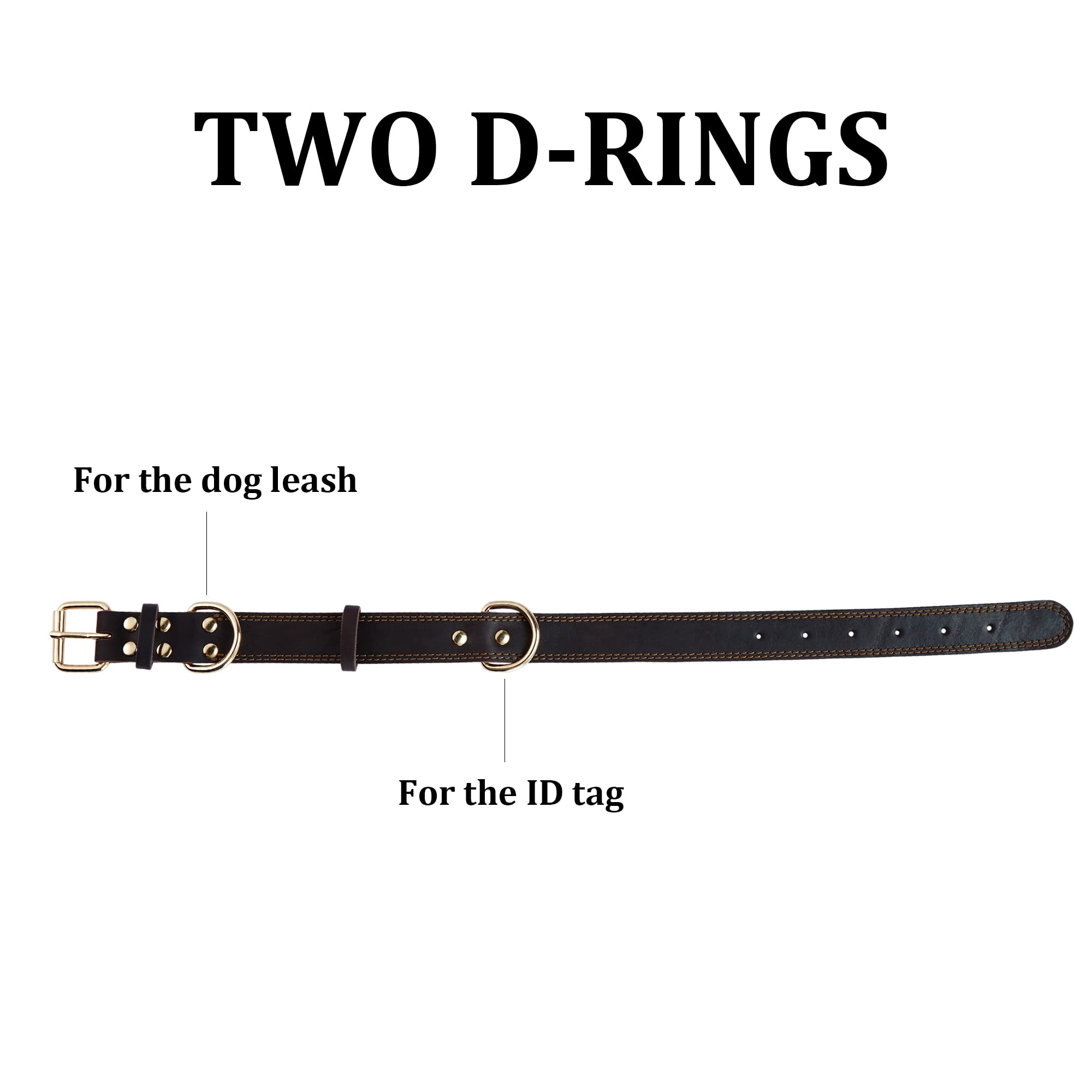 DAIHAQIKO collar worn on dog during walks shows comfort and style.