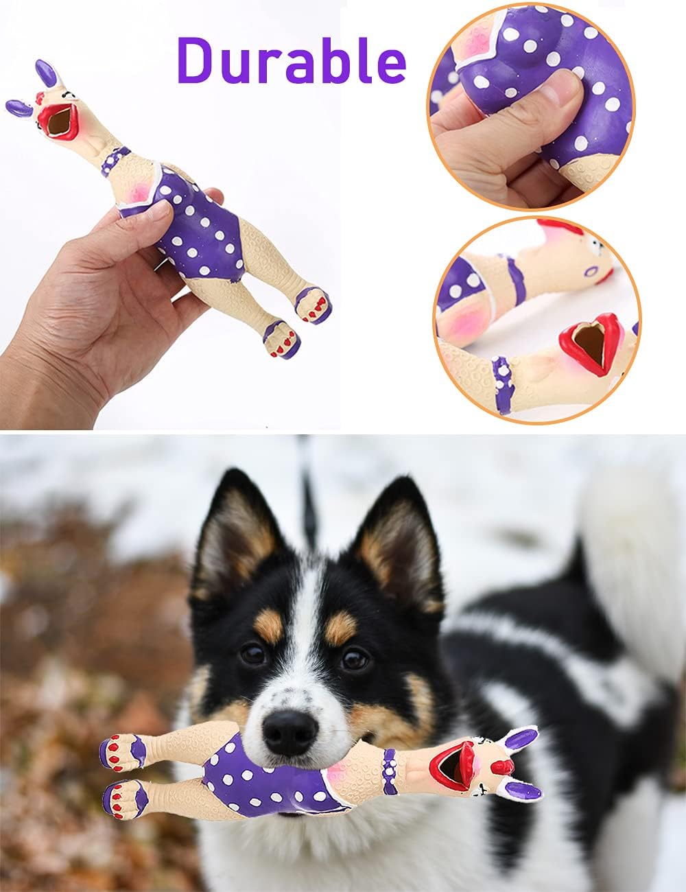 DAJOOEE durable rubber construction shown for small to medium dogs tough chews