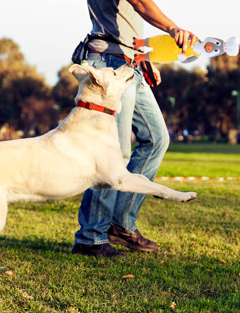 DAJOOEE squeaky feature highlighted to keep dogs engaged and entertained