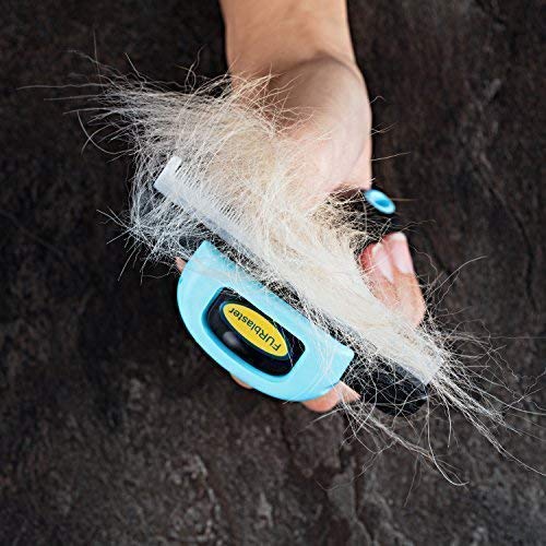 DakPets cat dog grooming brush closeup demonstrates trusted performance for busy households.