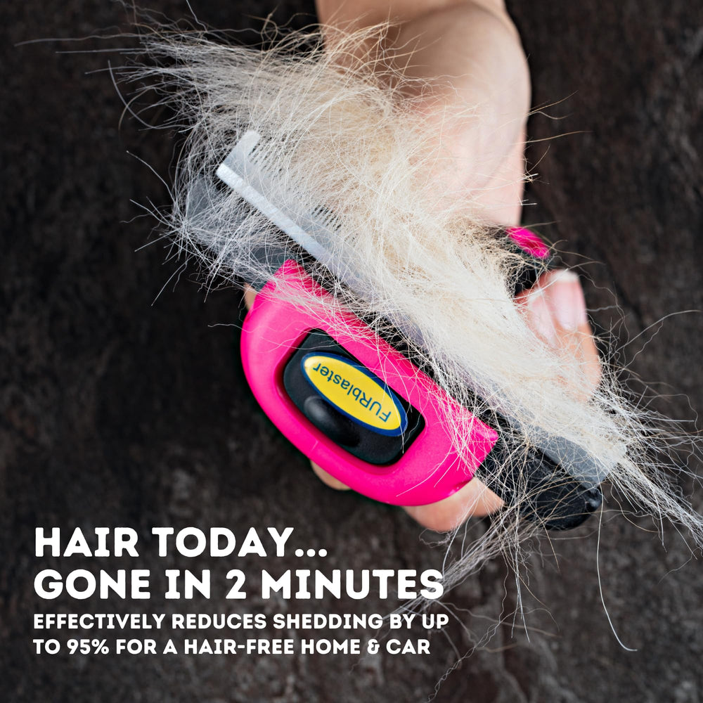 DakPets deshedding tool close-up showing stainless steel blade for easy grooming.