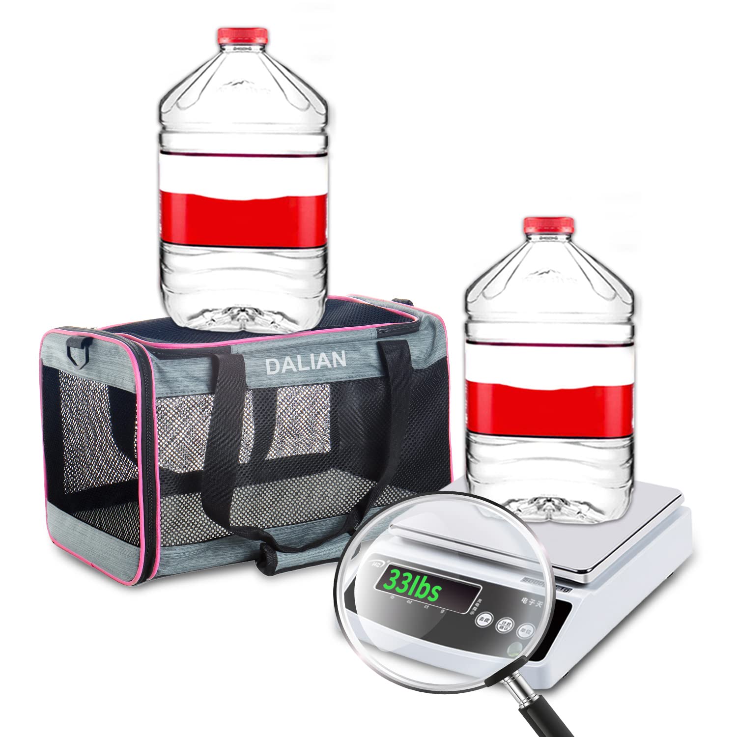 DALIAN cat-dog-soft-sided-carrier inside reveals spacious interior with padding for comfort