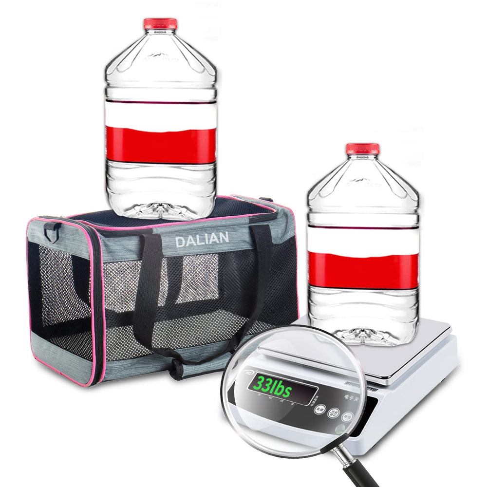 DALIAN cat-dog-soft-sided-carrier inside reveals spacious interior with padding for comfort
