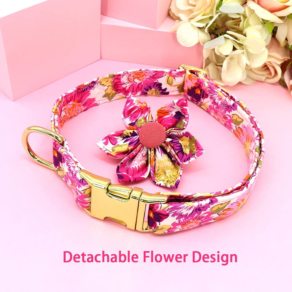 DALUZ dog collar features a secure D-ring for reliable leash attachment.