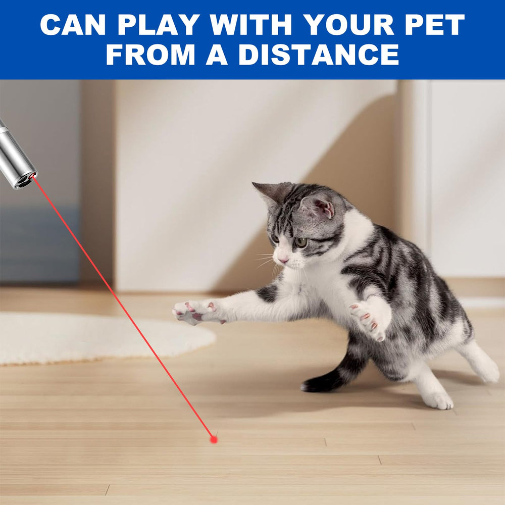 Damflew laser pointer bird toy safety reminder avoid direct eye exposure