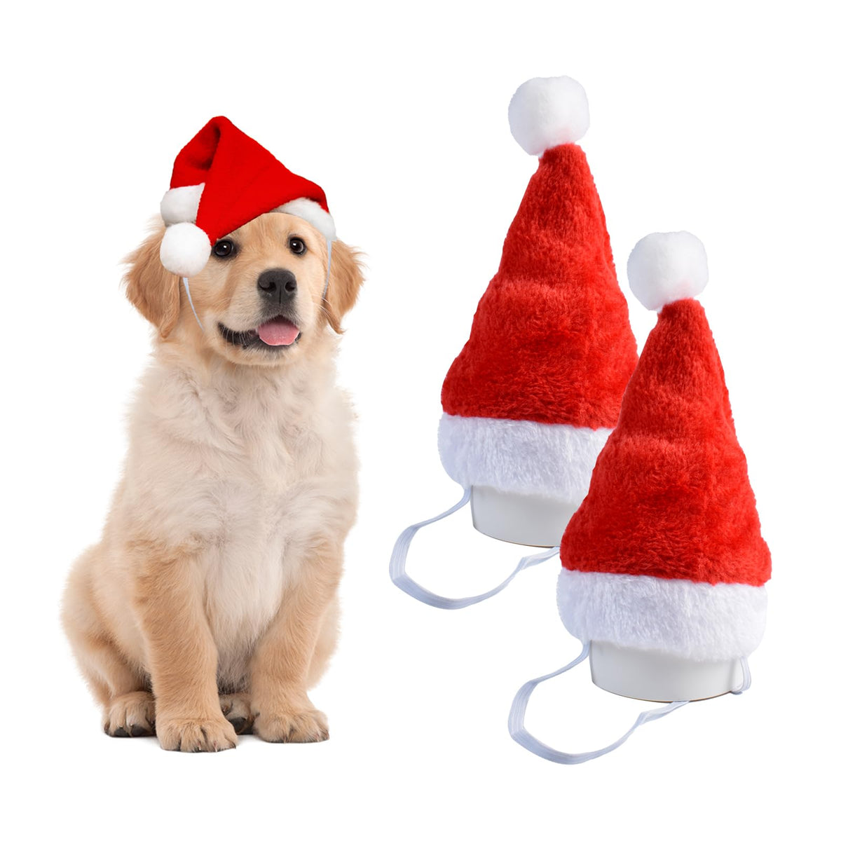 Dancepanda mini dog Santa hat red front view on a dog for festive photos.