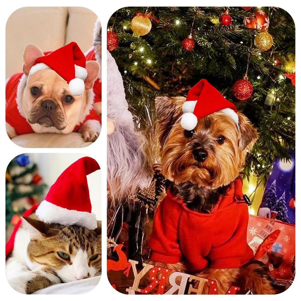 Dancepanda mini dog Santa hat red worn during playful moments.