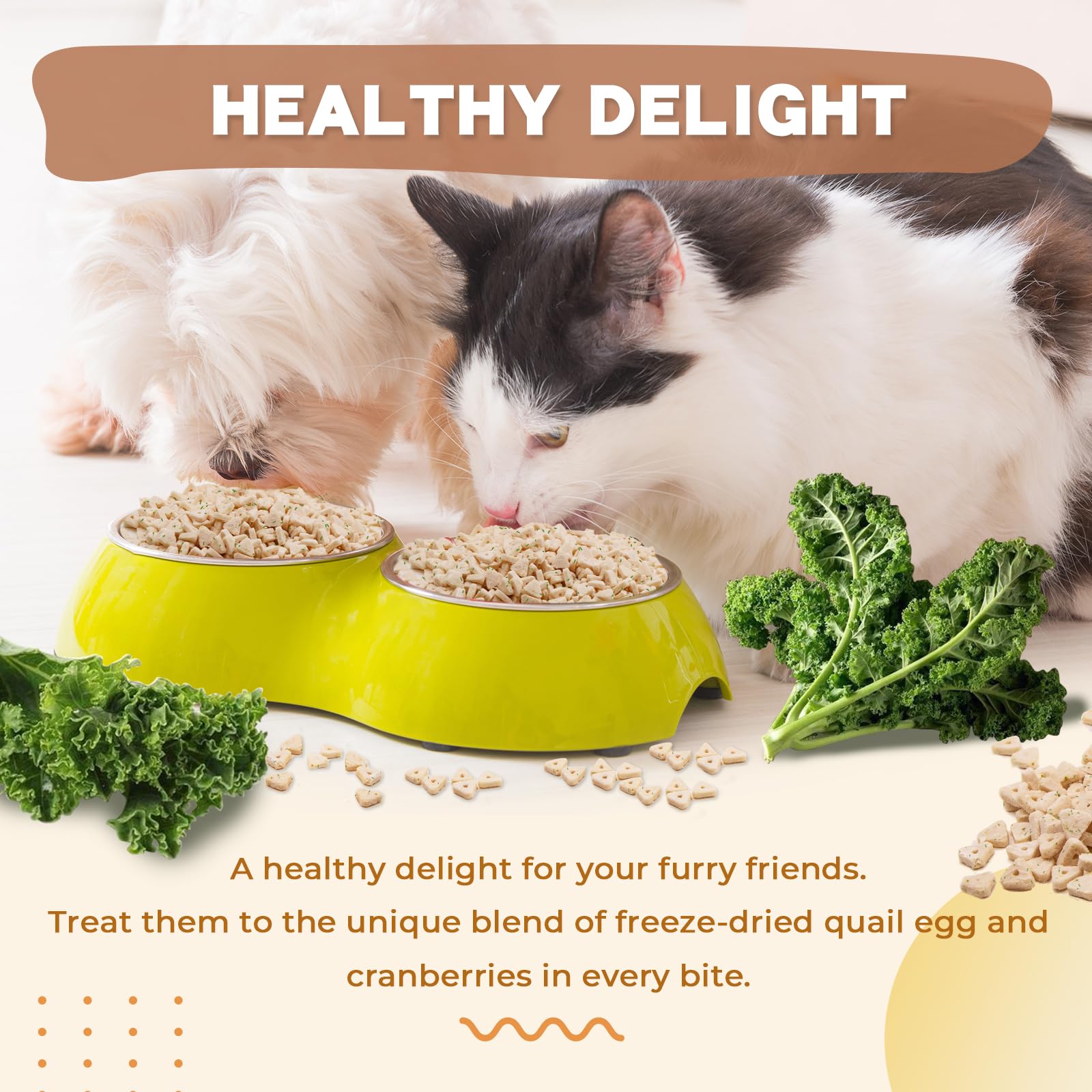 Dancing Tail freeze-dried chicken kale treat pack shown for small pets.