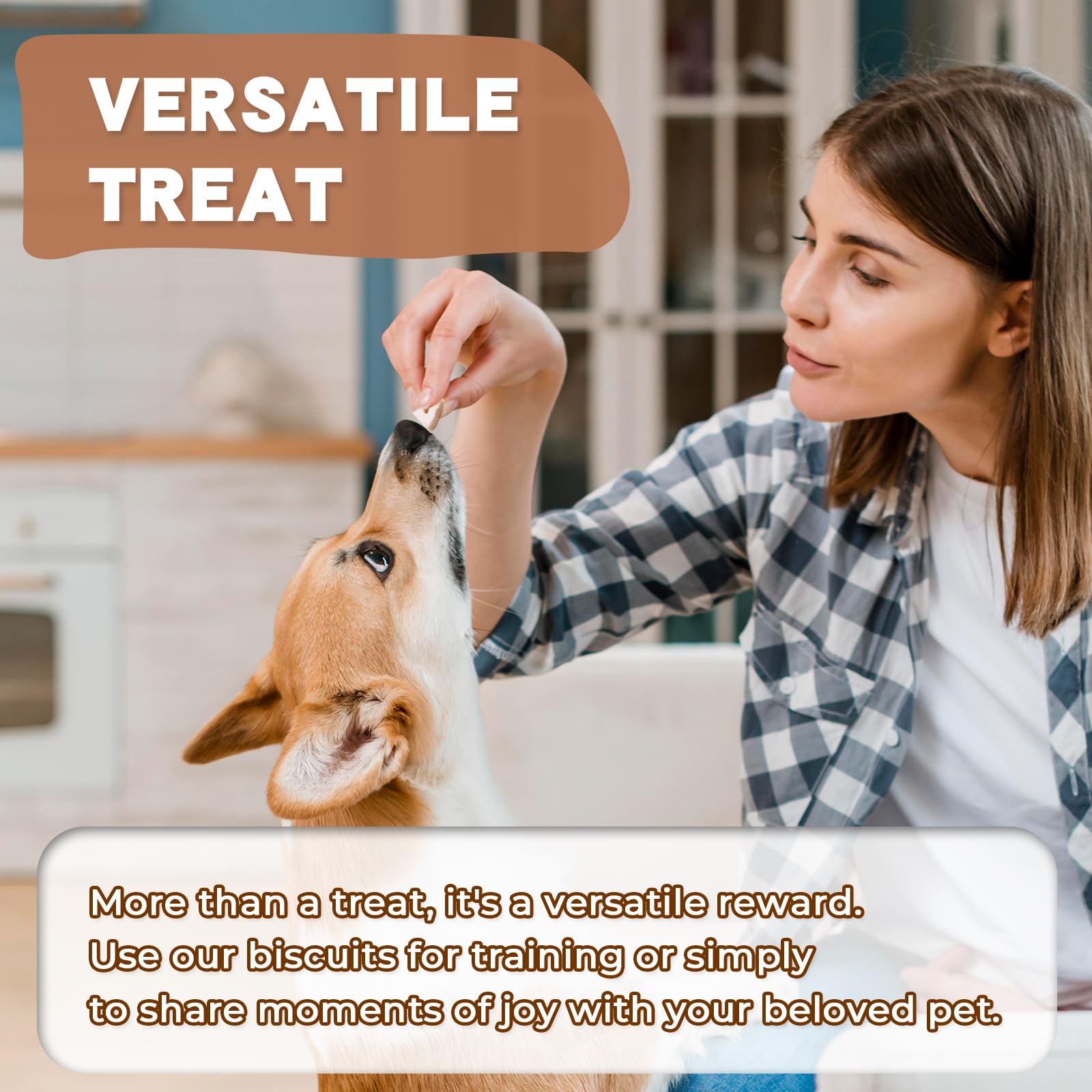 Dancing Tail high-protein treats for dogs and cats emphasize protein-rich snack.