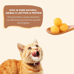 Dancing Tail quail egg yolk close-up shows lecithin and vitamins for healthy development.