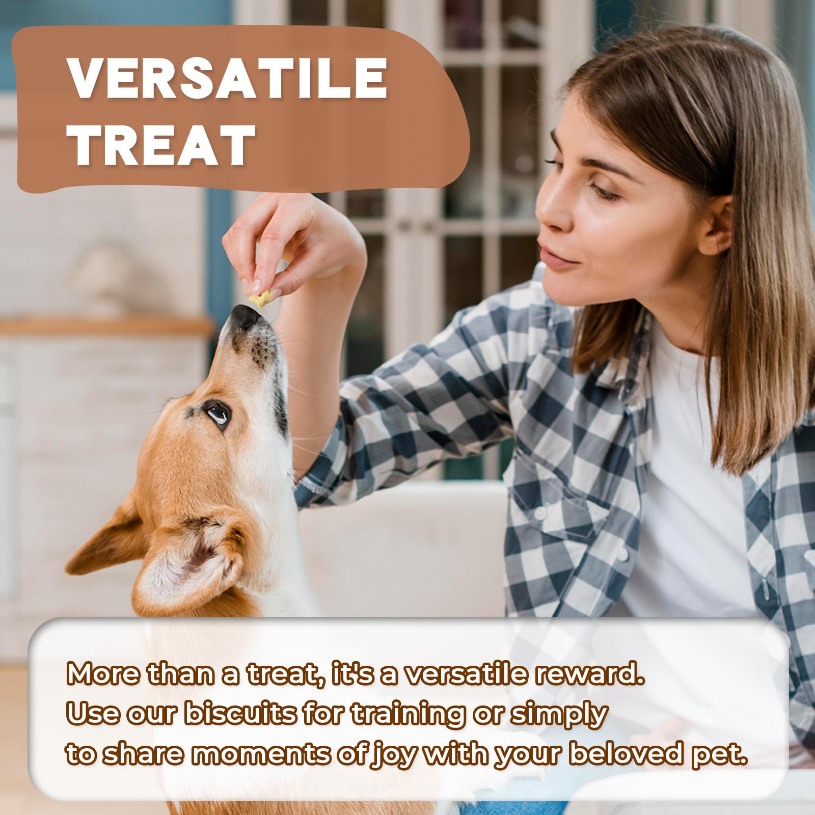 Dancing Tail treat dish showing training reward crunch