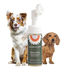 Dandylion Clean Paws bottle cap for quick, mess-free post-walk paw cleaning.
