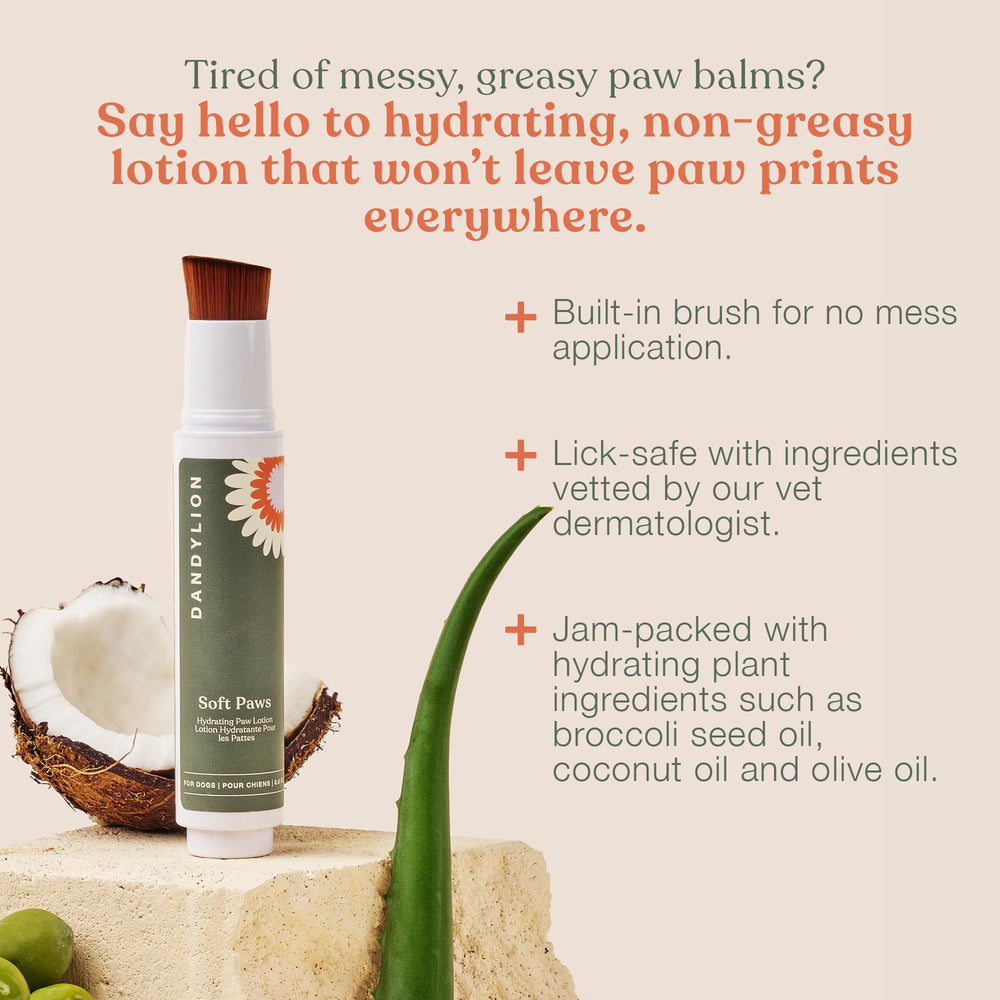 Dandylion Soft Paws lotion brush closeup improves precise application on paw pads.