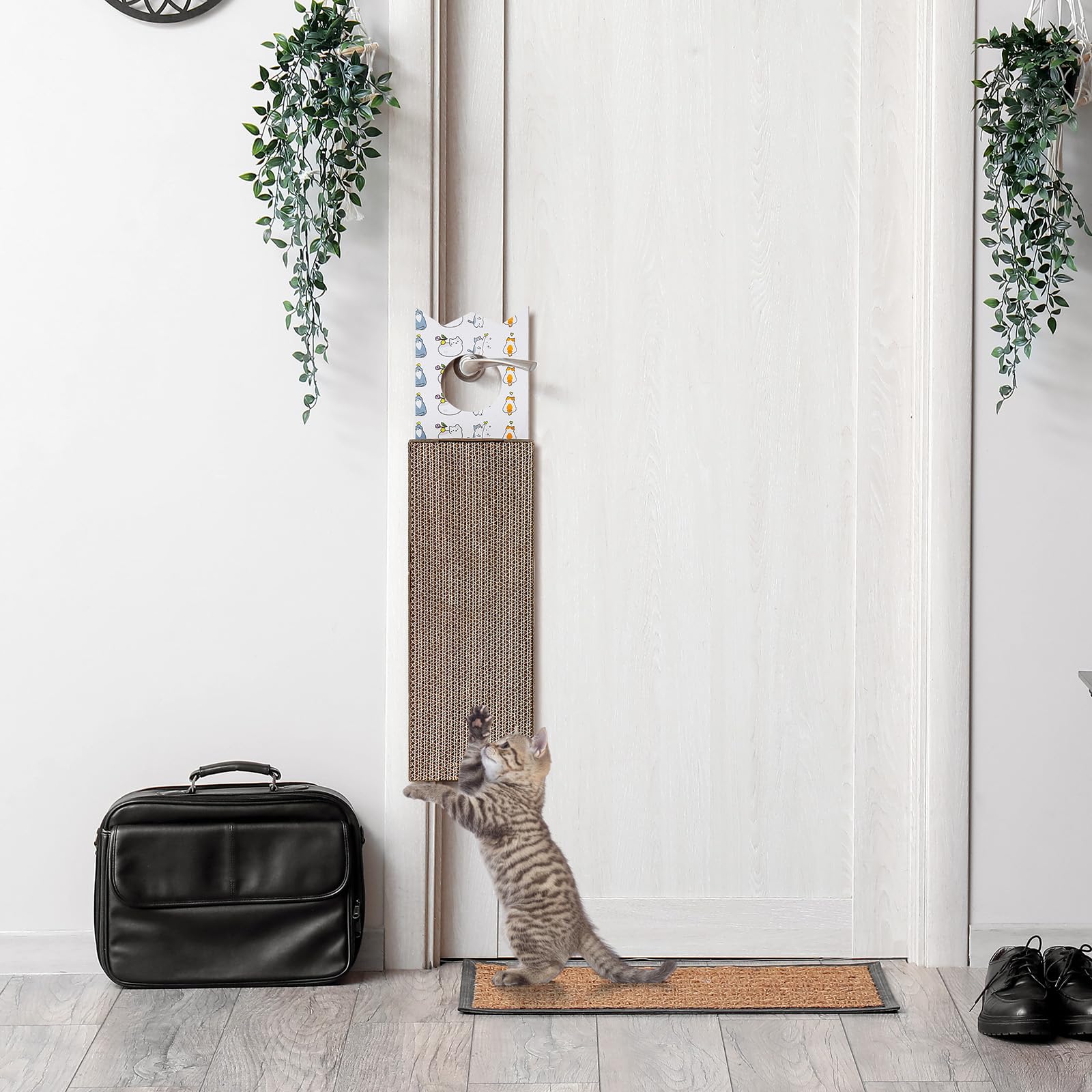 Dansydaisy cardboard texture image emphasizes sturdy safe material for gentle claws.