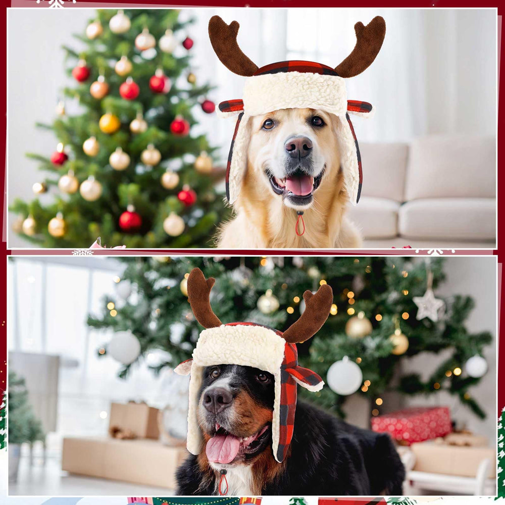 Dansydaisy Christmas party-ready dog hats for holidays and gatherings