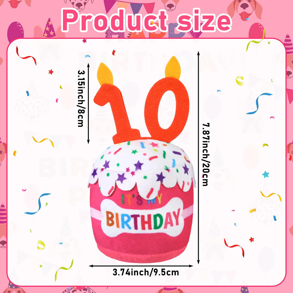 Dansydaisy dog birthday cake toy 3d top detail highlighting birthday theme
