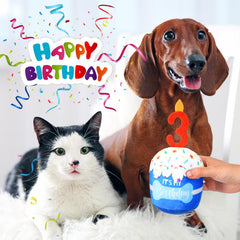 Dansydaisy blue dog birthday cake toy close-up as party decor prop