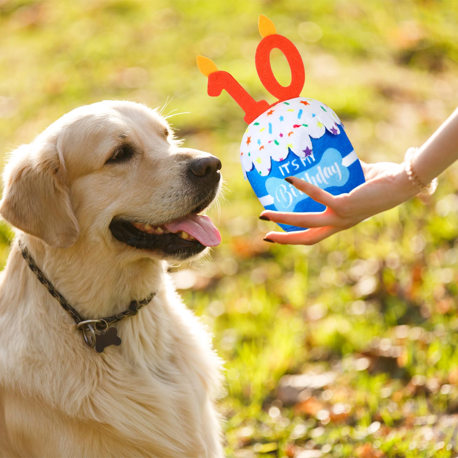 Dansydaisy dog birthday cake toy blue party decor use for celebrations