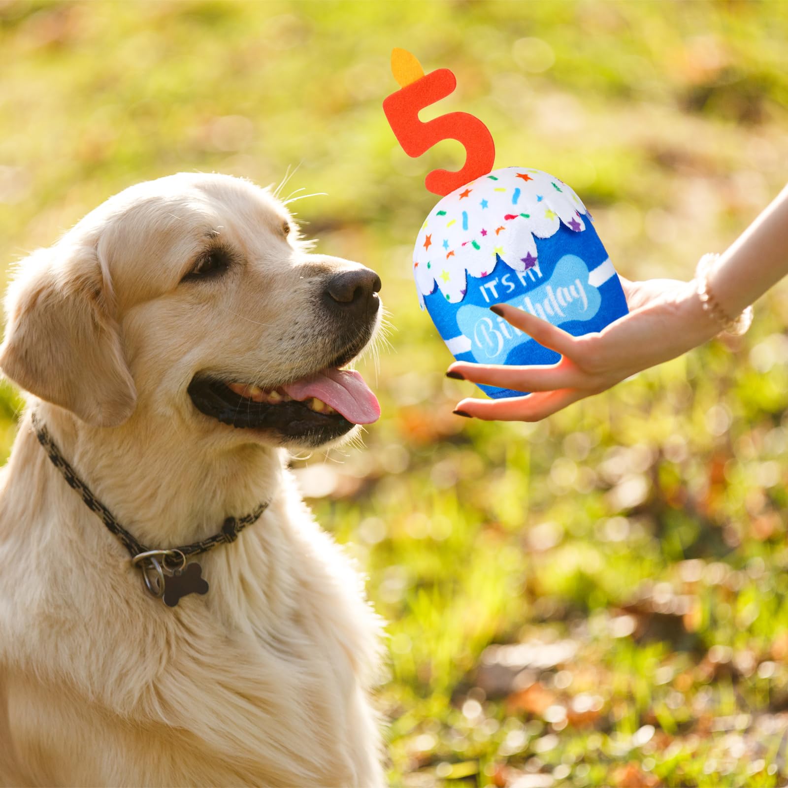 Dansydaisy dog birthday cake toy blue pile of toys shows variety for play and decorations