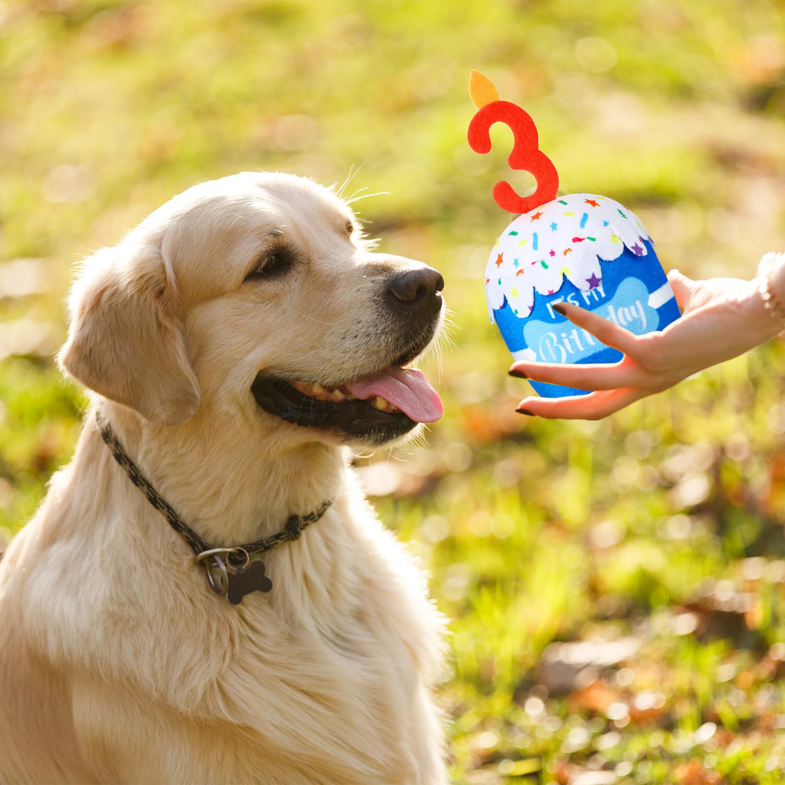 Dansydaisy dog birthday cake toy blue chew-friendly plush for teething