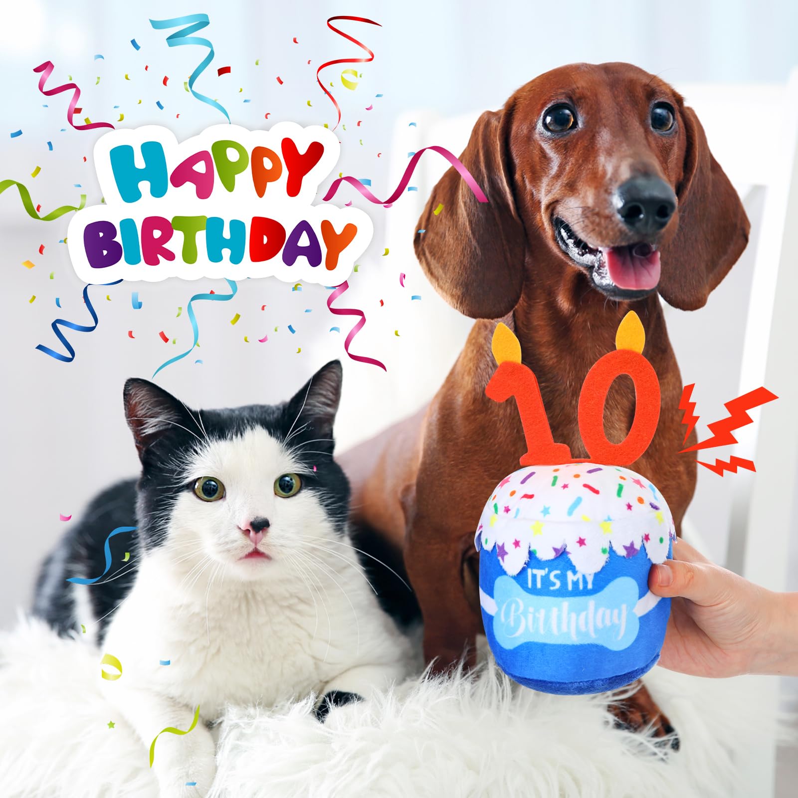 Dansydaisy dog birthday cake toy blue close-up texture shows soft surface and durable filling