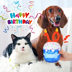 Dansydaisy dog birthday cake toy blue close-up texture shows soft surface and durable filling