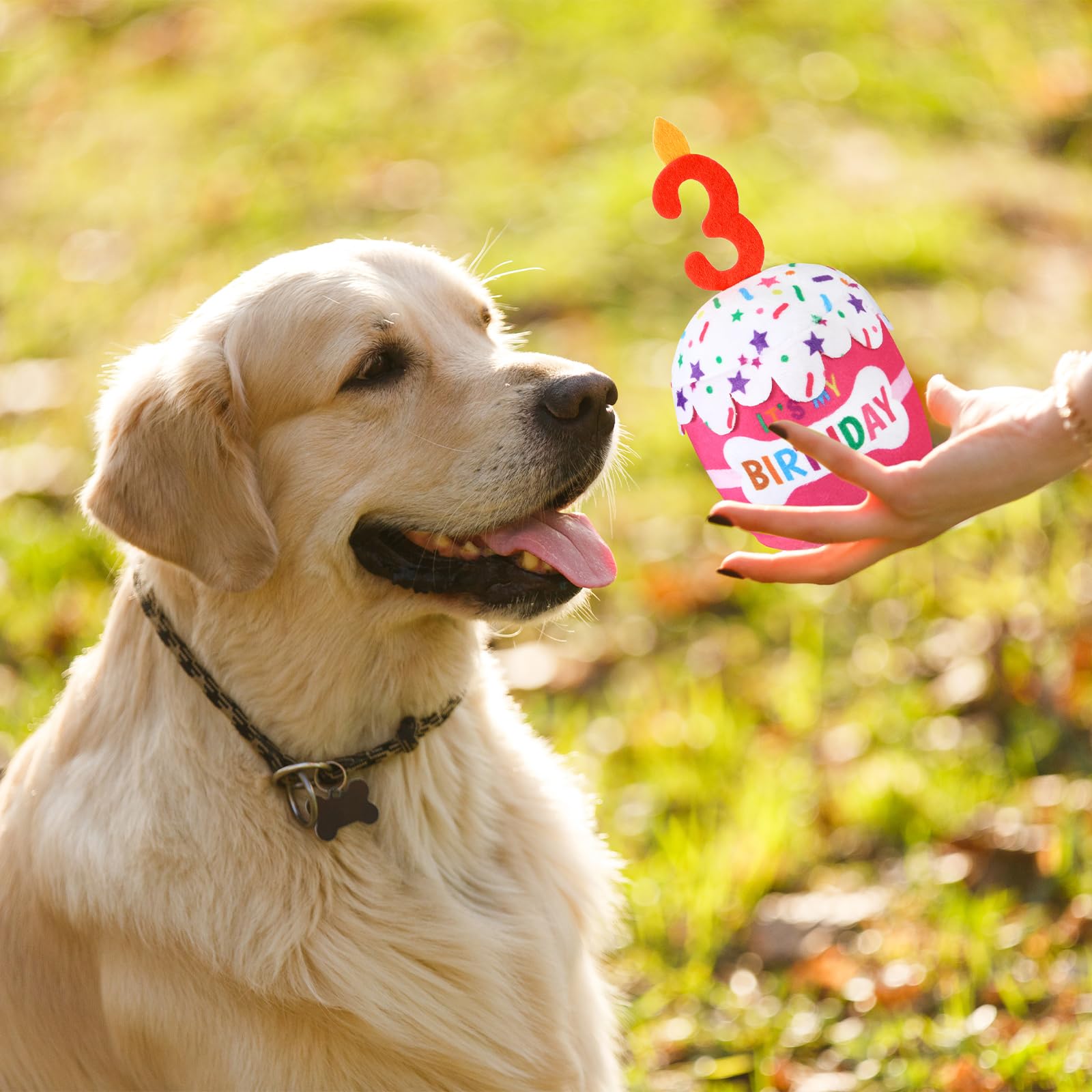 Dansydaisy dog birthday cake toy pink in action for daily cuddles and fetch.
