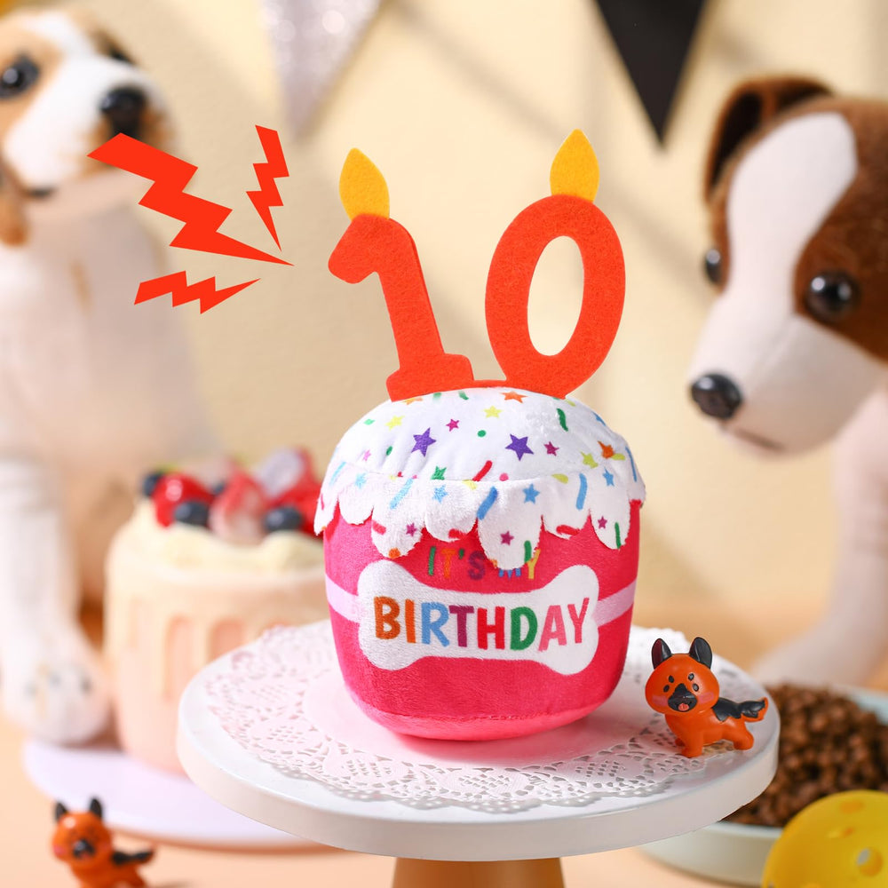 Dansydaisy dog birthday cake toy in-use during party, capturing joyful moments