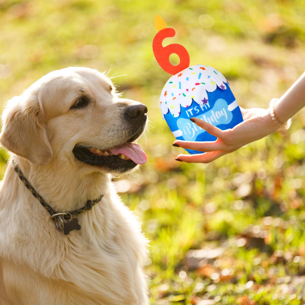 Dansydaisy dog birthday cake toy size-friendly fit for dogs of all sizes.