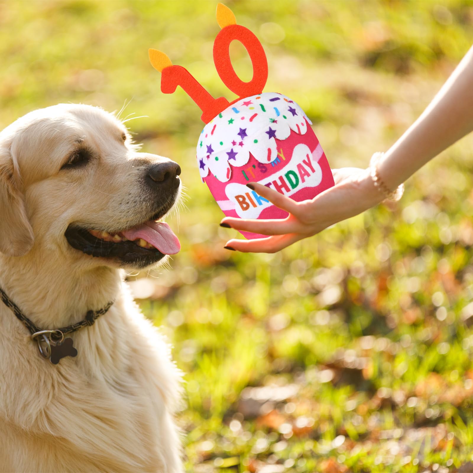 Dansydaisy dog birthday cake toy soft surface promoting gentle chewing and teething-friendly fun