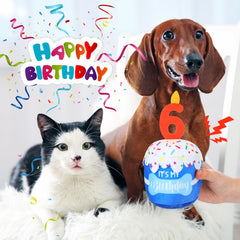 Dansydaisy dog birthday cake toy teething-chew plush supports safe, satisfying chewing sessions.